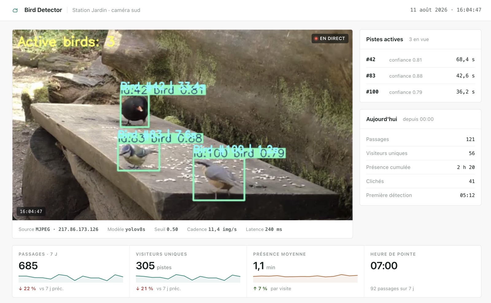 Bird Detector dashboard showing the live annotated camera feed, active tracks with confidence and duration, and today's stats: passages, unique visitors, cumulative presence, snapshots
