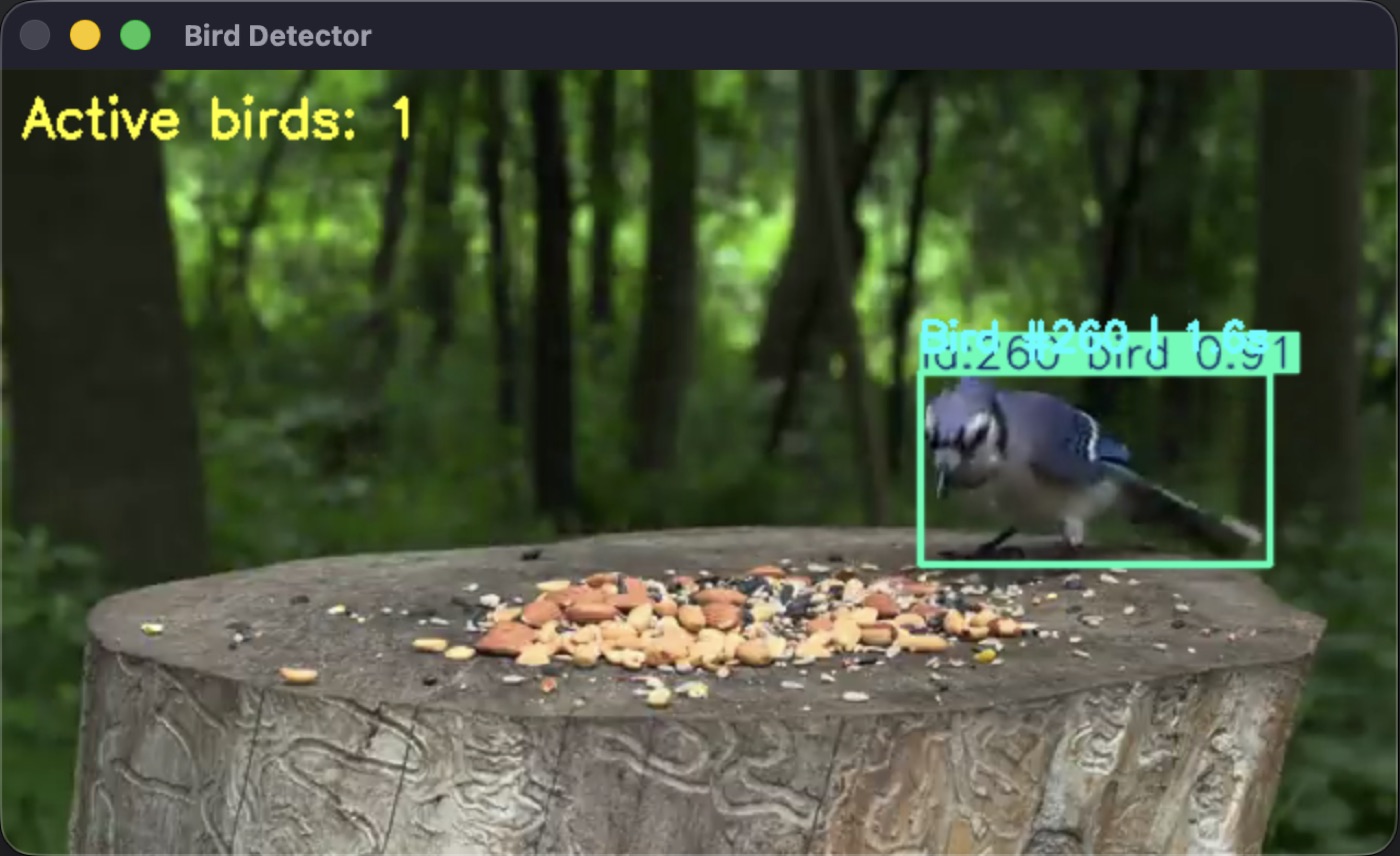 Bird Detector window showing a blue jay on a bird feeder stump, detected with a green bounding box and confidence 0.91