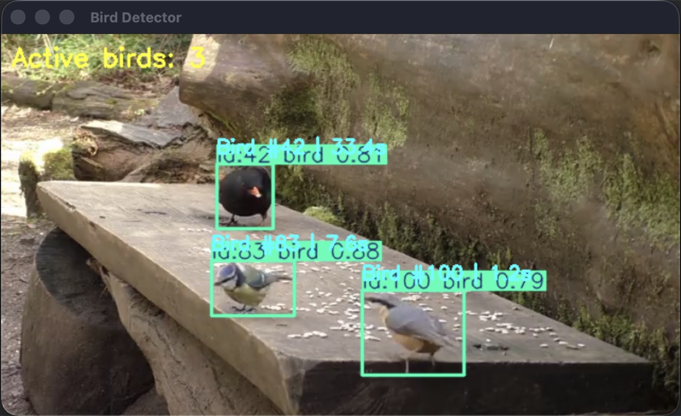 Bird Detector window tracking three birds at once on a bench, each with its own track ID, label and confidence score